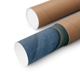 Surf Fin Collection Poster product view 3
