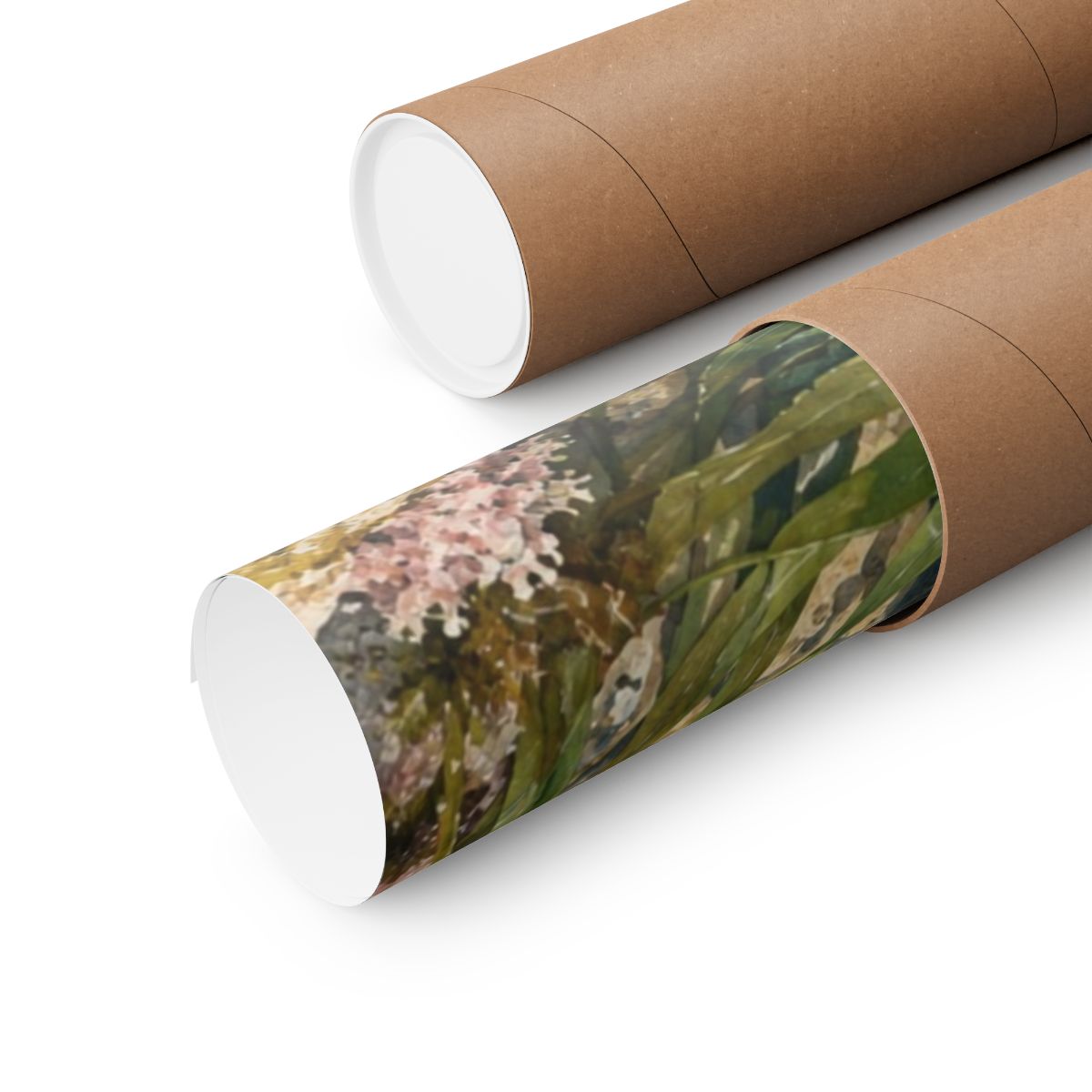 Tidepool Specimens Poster product view 6